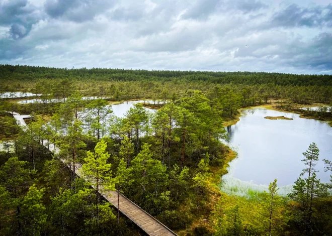 A Day in Lahemaa National Park, Estonia