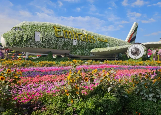 Dubai Miracle Garden: A Guide to visiting