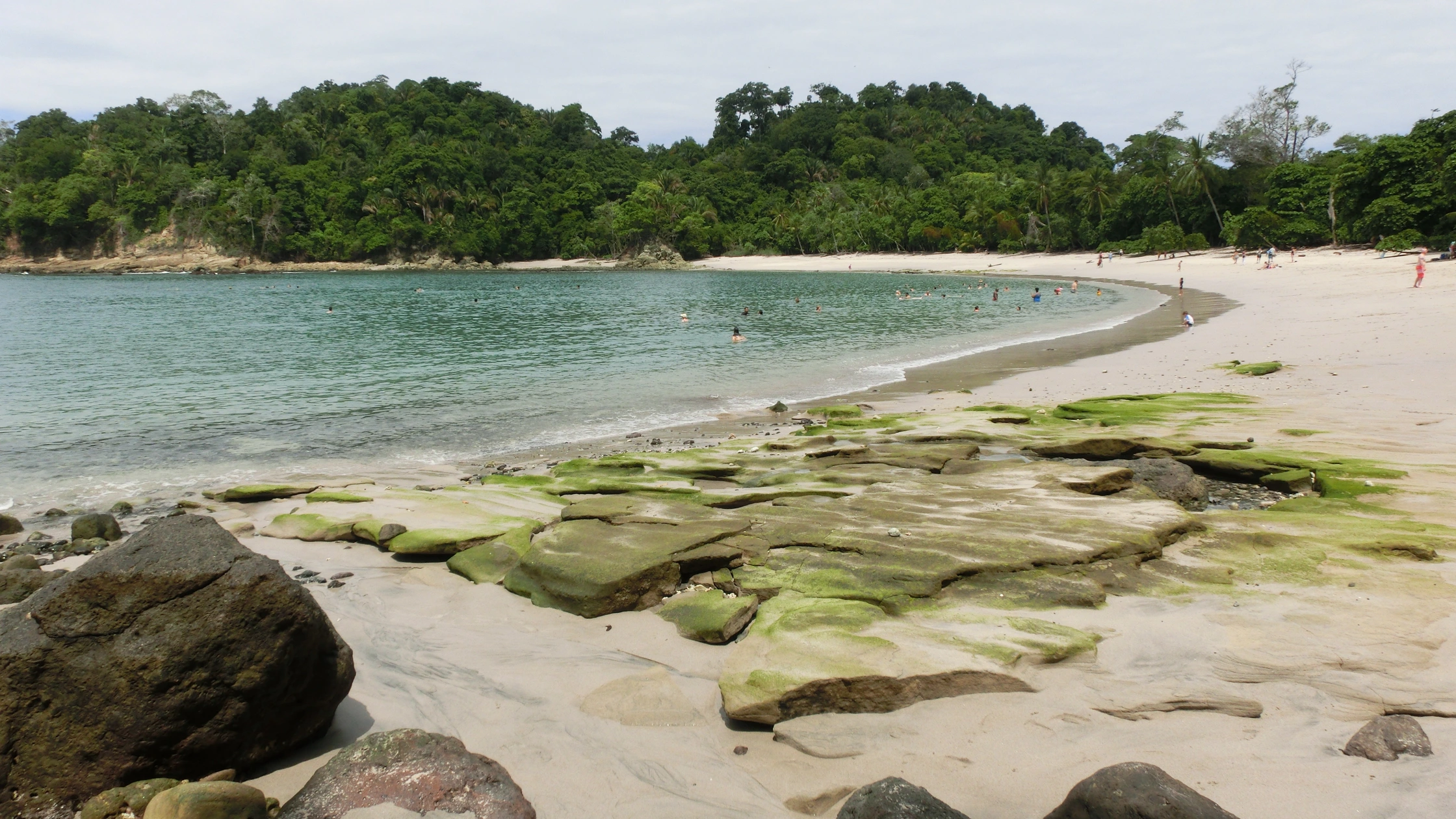 A DAY IN MANUEL ANTONIO NATIONAL PARK
