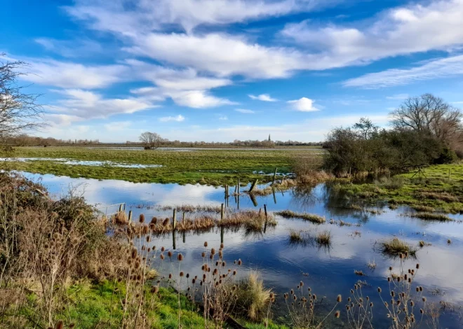 Into the Fens: Exploring England’s wetlands