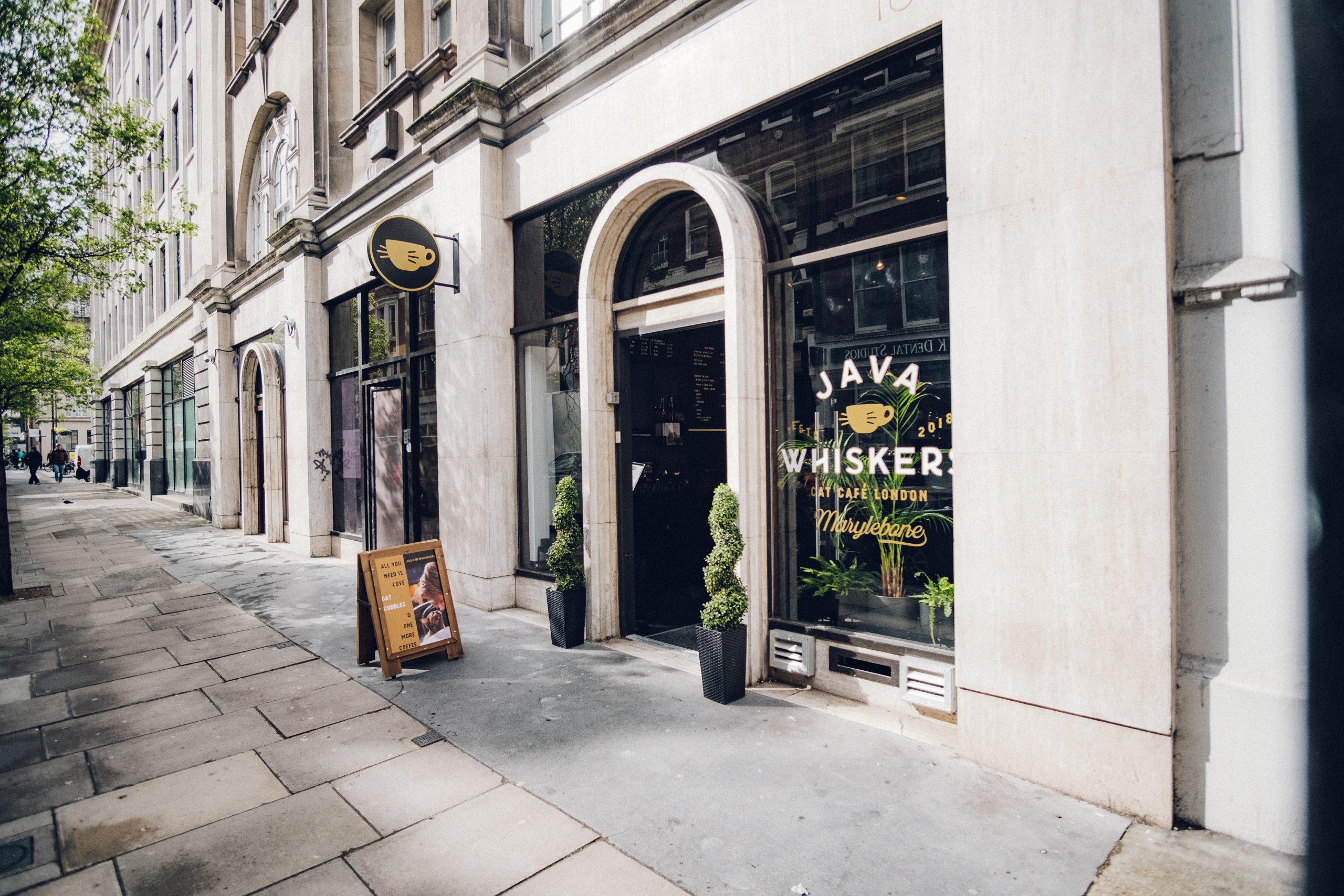 Java Whiskers lounge details for a London city break