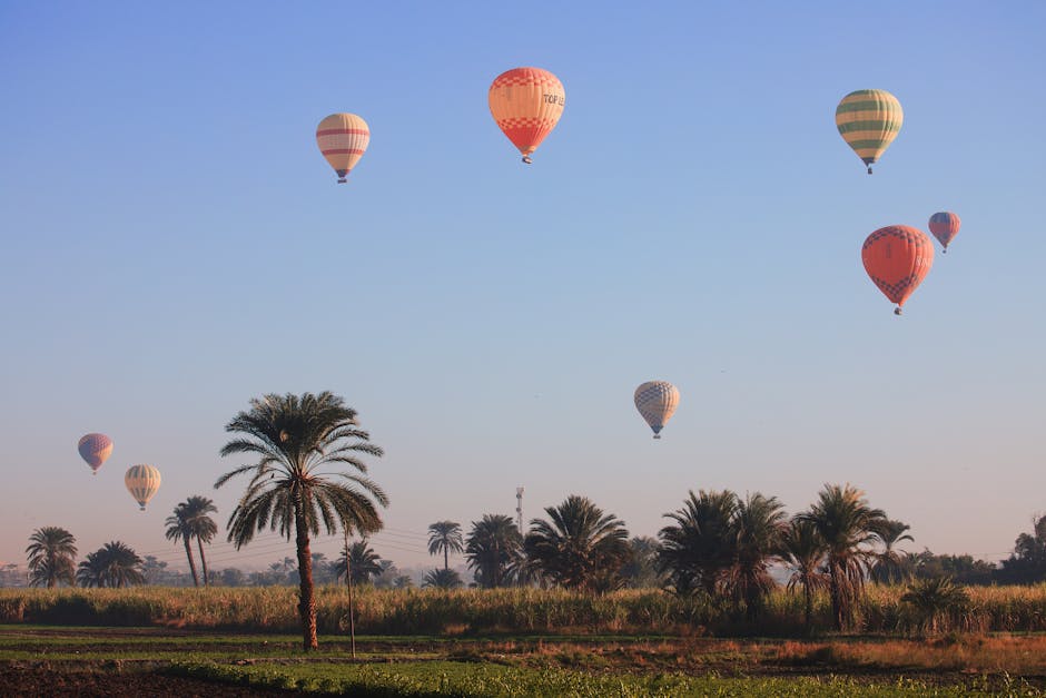 Colorful hot air balloons soaring over palm trees in a clear blue sky, creating an adventure-filled scene.
