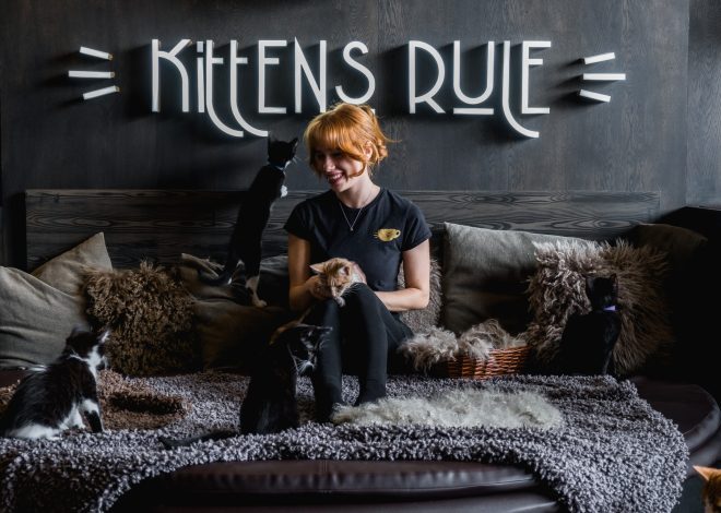 A London Cat Cafe Stop That Works Between Museums, Markets, And Rain