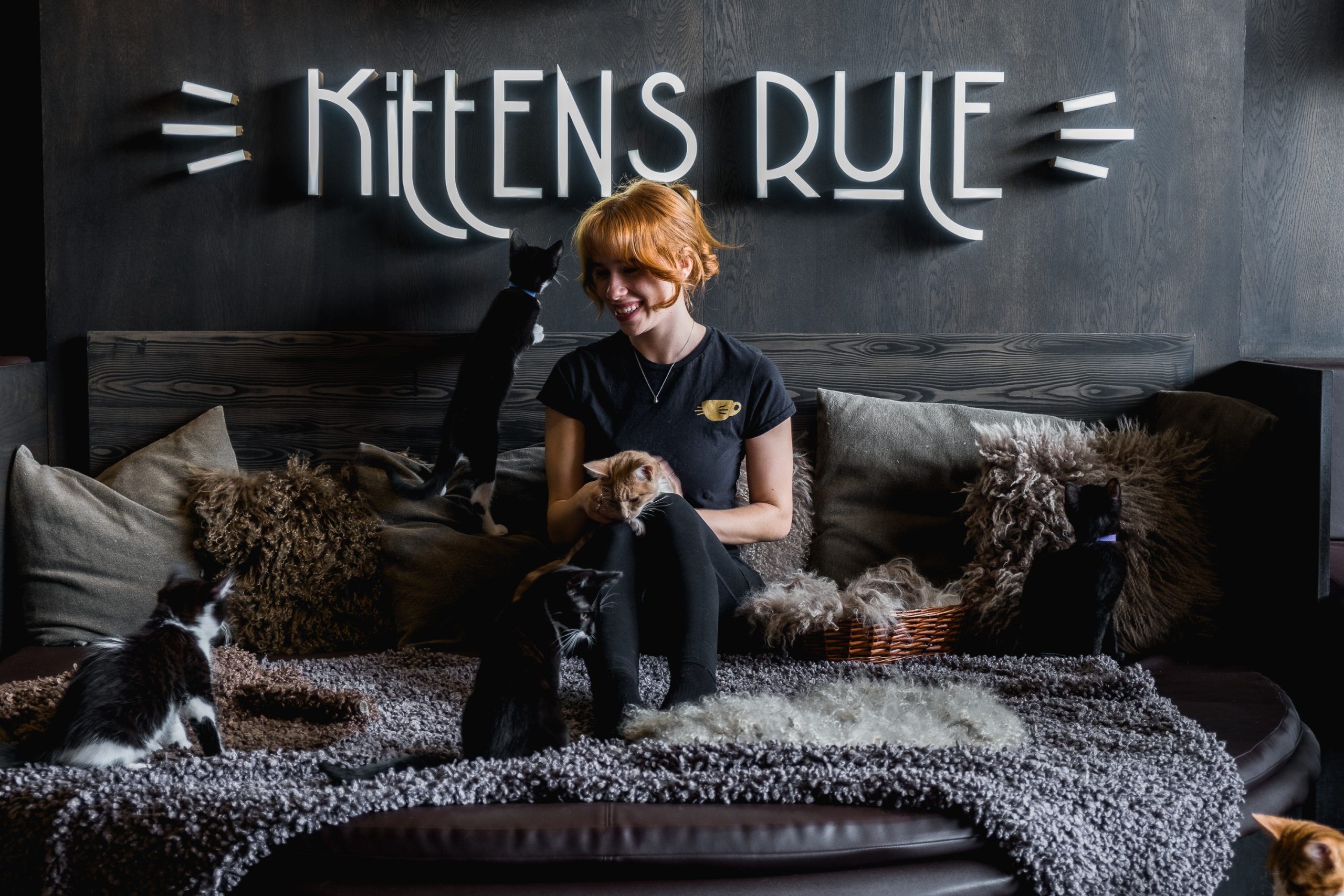 A London Cat Cafe Stop That Works Between Museums, Markets, And Rain