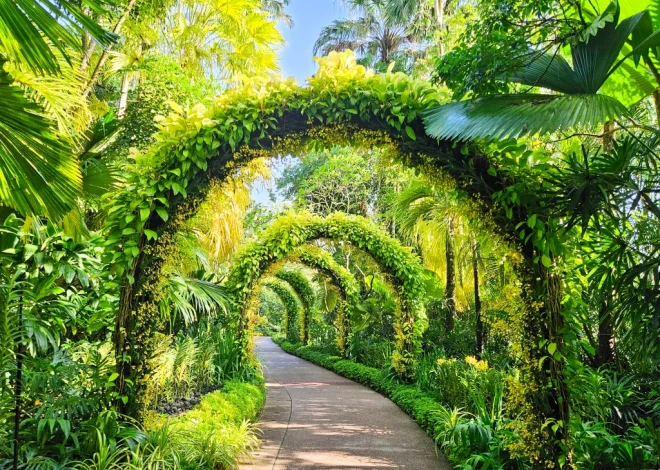 A Visitor Guide to Singapore Botanic Gardens