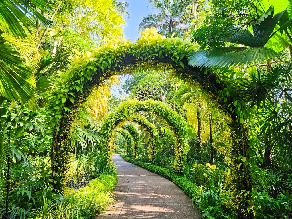 A Visitor Guide to Singapore Botanic Gardens