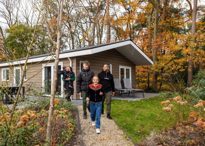 Choosing A Netherlands Cabin Base Instead Of Another City Hotel