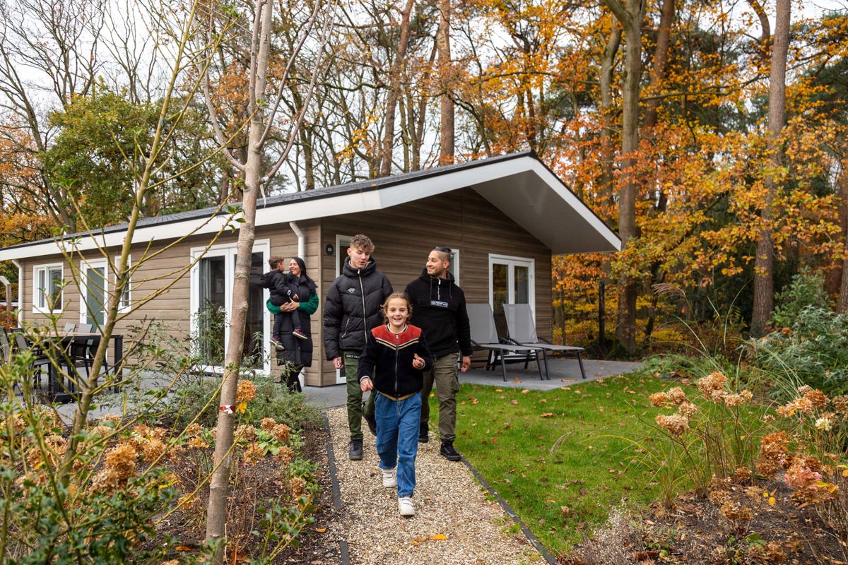 Choosing A Netherlands Cabin Base Instead Of Another City Hotel