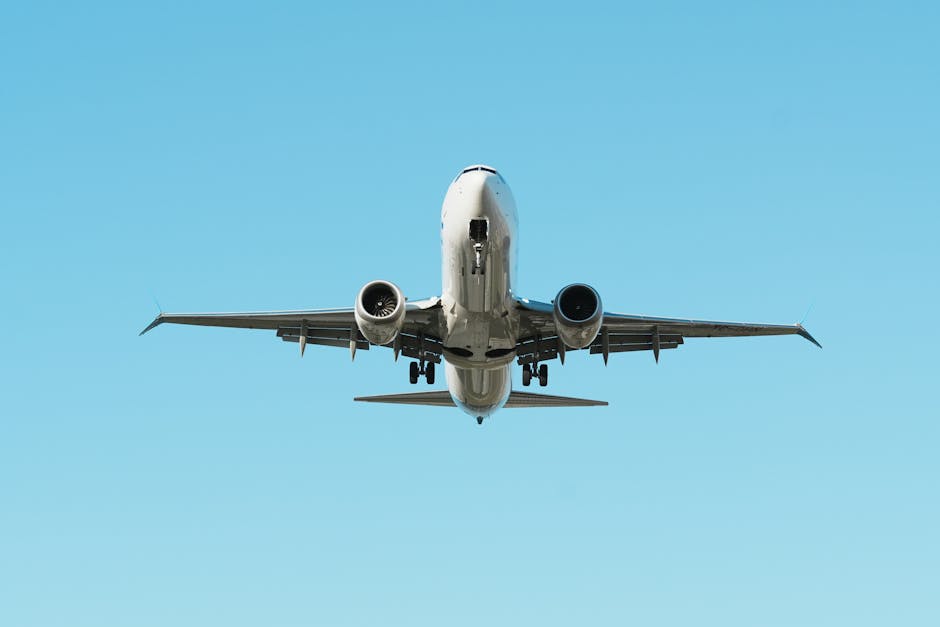 Travel Rewards for Students: How to Earn Real Points on a Campus Budget