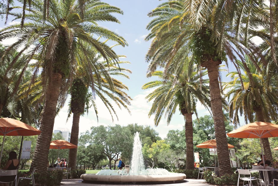 Scenic view of University of Miami campus with palm trees and a fountain under a bright sky.