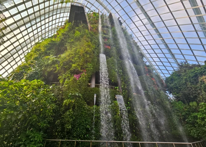 A Guide to Gardens by the Bay, Singapore
