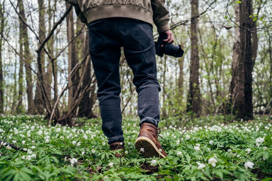 Back view of a person walking in a forest holding a camera, surrounded by white flowers.